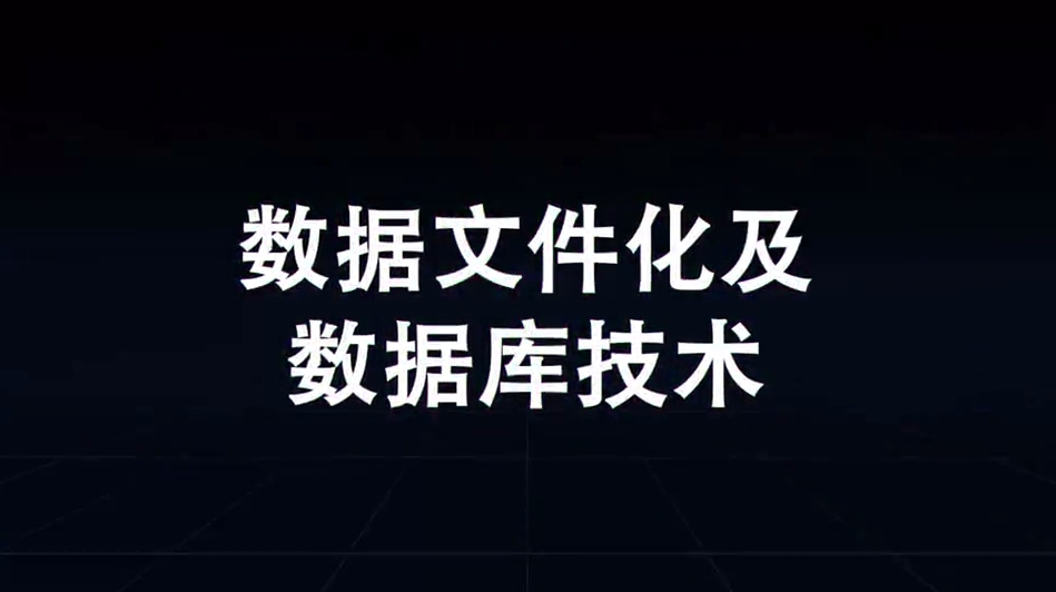 数据文件化及数据库技术